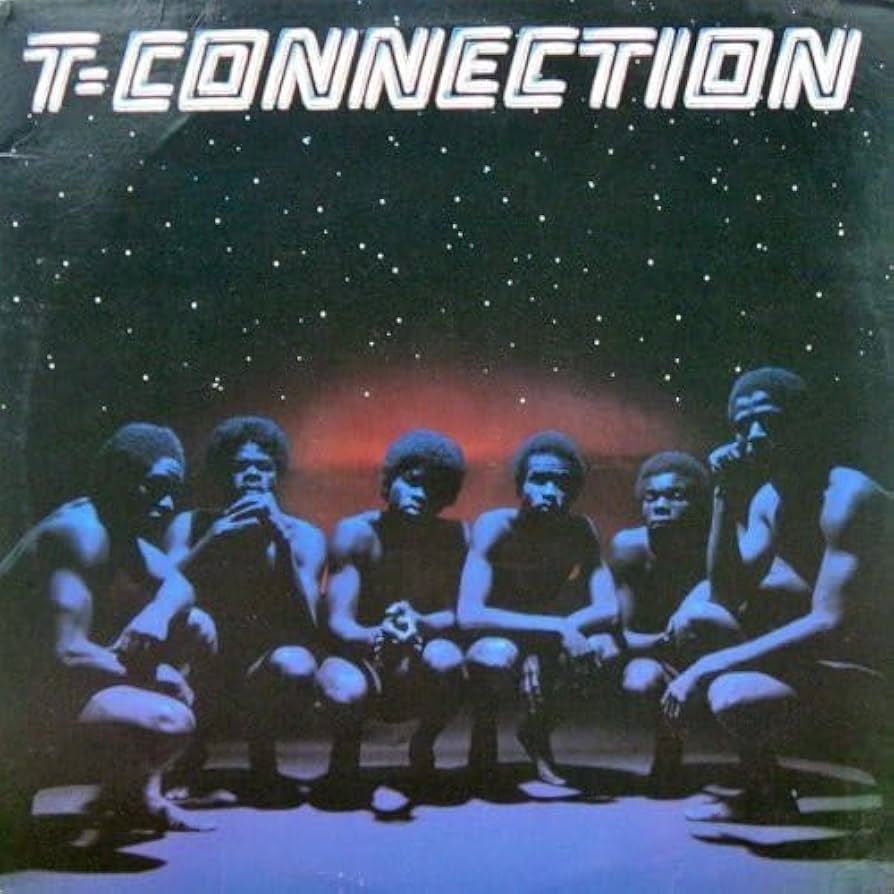 洋楽 T&T - Free The History Holder St Classic T-Shirt in Black | Vans