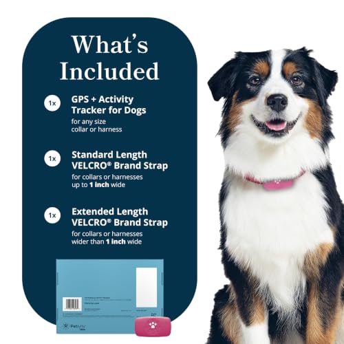 Image of petivity Smart GPS and Activity Dog Tracker Tag