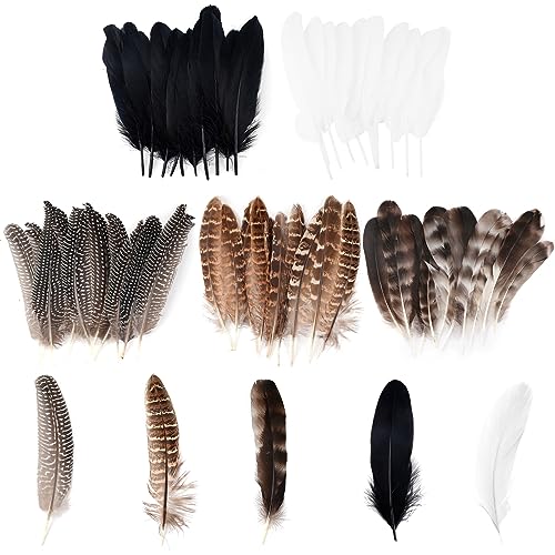 Ticeed 50 Piezas Plumas Decorativas, Plumas de Colores Plumas Decorativas para DIY Accesorios para Decoración de Fiestas Plumas de Pollo para Corona de Navidad, Fiestas y Bodas (5 tamaños)
