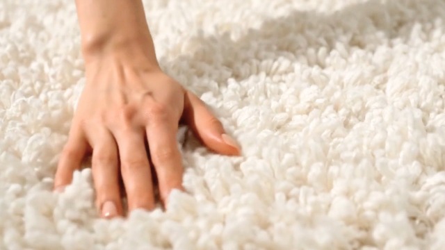 Amazon.com: SAFAVIEH August Shag Collection Area Rug - 9' x 12