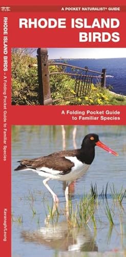 Rhode Island Birds: A Folding Pocket Guide To Familiar Species (Wildlife And Nature Identification) #TOP13