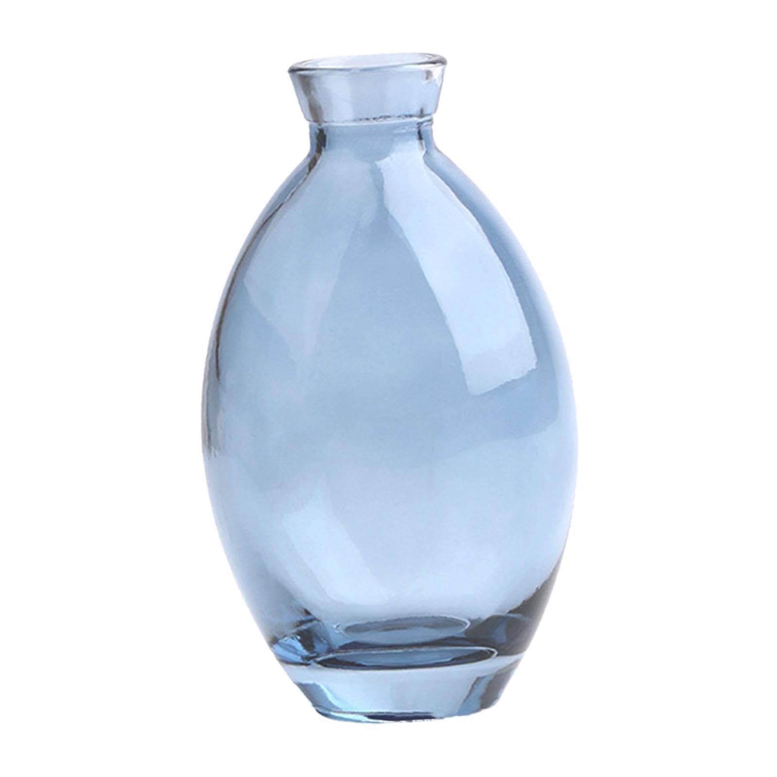 PIXZCSA for Creative Decoration Propagation Planter Suitable For Flower Arrangements And Bouquets Vase Planter Living Room Kitchen, Blue, 12cm