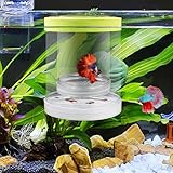 Schwimmende Fischzucht Isolation Box Fischtankzüchter Box Aufzuchtbecken Aquarium für Babyfische, Betta-Garnelen, Clownfische, Guppys (Grün, Groß)