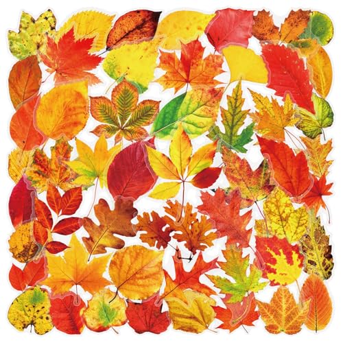 Image of 50 Aesthetic Fallen Leaves Stickers Flora Scrapbook Stickers Pack(Yellow) | Transparent & Waterproof for Water Bottle, Scrapbook Supplies,Junk Journal Supplies, DIY Crafts, Party Supplies