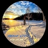 Sigmundur Úlfur Record