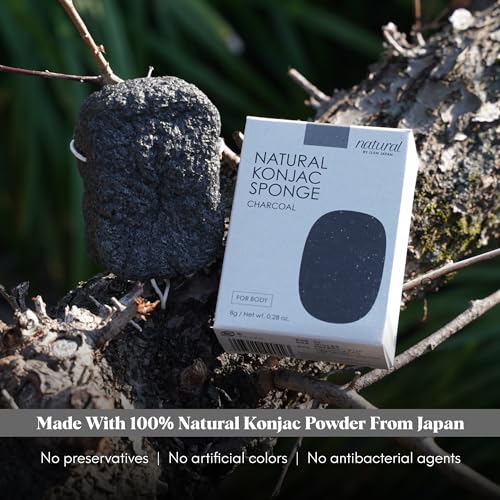 Image of ILEM JAPAN Natural Konjac Sponge Body (Charcoal)