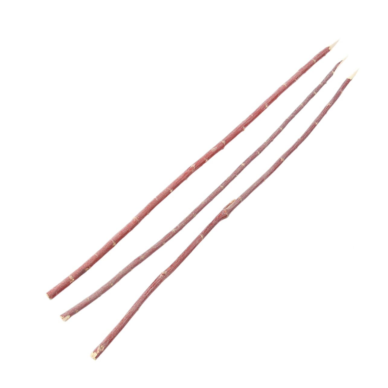 Abaodam BBQ Skewers 100pcs Corn Barbecue Forks Wooden Grill Tools for Family BBQ