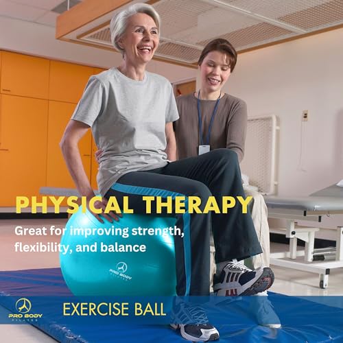 ProBody Pilates Yoga Ball - Fresh Colors Exercise Ball for Stability, Pregnancy, Workout, Physical Therapy & Birthing, Balance Ball Chair (Sky, 75 cm) by ProBody Pilates - Image 9