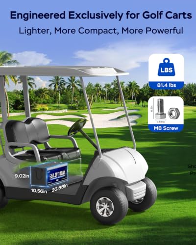 MEYULMOL 48V 100Ah Lightweight Battery