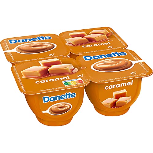 DANETTE Crème Dessert Caramel 4 x 125 g