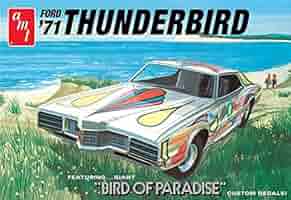 Amazon.com: AMT 1:25 Scale 1971 Ford Thunderbird Bird of