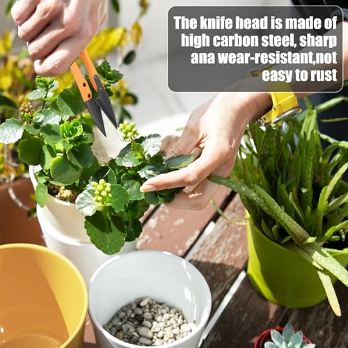4PCS Tijeras Mini Bonsái para Jardinaje miniatura 2