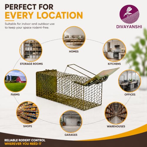 Image of Divayanshi Heavy-Duty Rat Trap - Reusable Humane Rodent Catcher for Mice & Rats, Strong Spring Mechanism, Easy to Set & Clean, Indoor & Outdoor Use (9 inch)