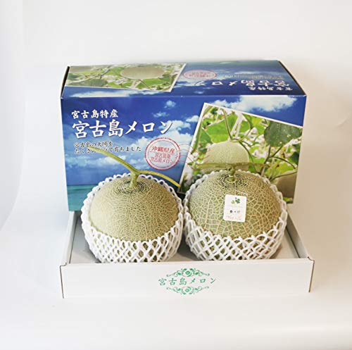 sxۏ؁tʕ Mtg ~ (2) x14xȏIbp v[gɉE{ÓY̓~