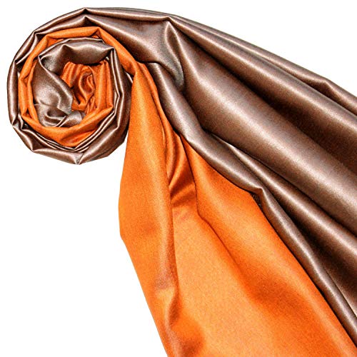 Bufanda de seda Lorenzo Cana de hombre reversible de 70 x 190 cm 2
