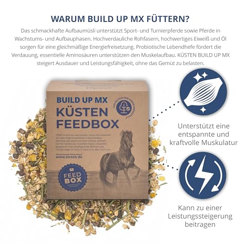 STRÖH Küsten Build up MX (30 kg Feedbox) • Hochwertiges Aufbaumüsli • Ideal für Sport- & Turnierpferde • Pferde Müsli mit Vitamin E, A, B12, D3, Biotin, etc. • Pferdefutter Müsli
