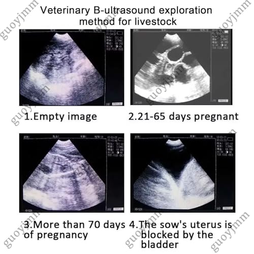 Zestaw weterynaryjnego skanera ultradźwiękowego – przenośna maszyna do testowania ciążowego HD z sondą mechaniczną dla świń i owiec