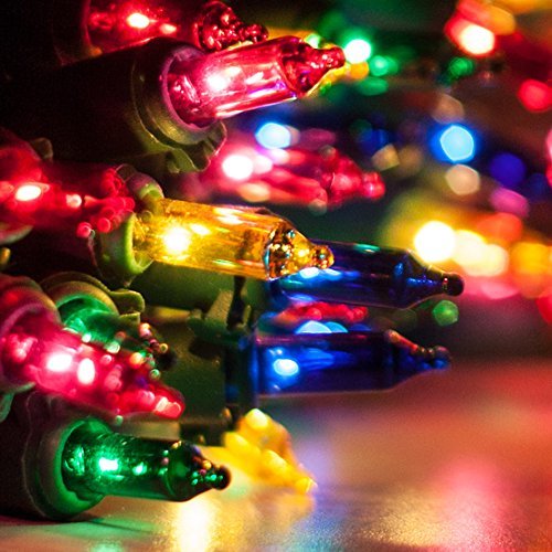 Amazon.com: Holiday Joy - 300 Count Multicolor Christmas Lights