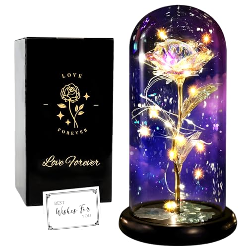 Rose Galaxie dans Un dôme en Verre avec Base en Plastique, Fleur Artificielle Cadeau pour la fête des mères, Une épouse, Une Petite Amie, Une Femme, ne se décolore Pas, Amour de Votre Fils/Fille