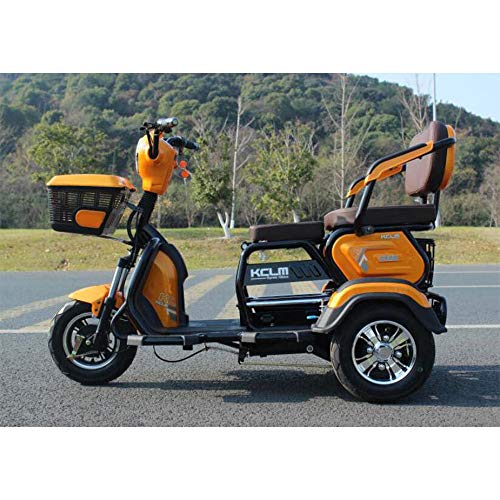 Elektro-Dreirad im Freien Erwachsene elderlyeisure Behinderte Reise Roller 48V20A Lithiumbatterie maximale Belastung 180 kg eine