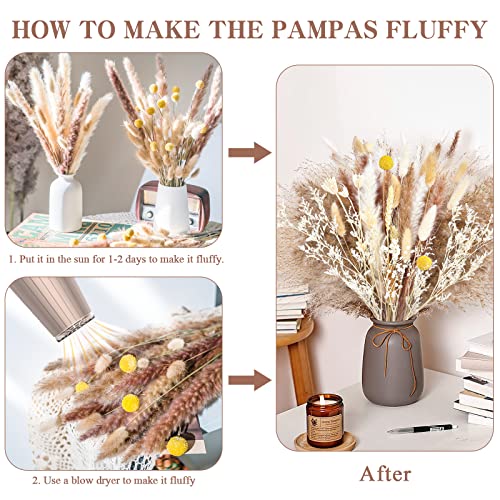 Pampas Grass 120 Pcs/12 Various Boho Wedding Home Table Fall Decor Dried Flowers Arrangements White & Natural Dried Pampas Grass, Reed Grass, Bunny Tails Grass #TOP2