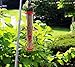Bird Feeder Hanging Classic Tube Hanging Feeders with 6 Feeding Ports Premium Hard Plastic with Steel Hanger Waterproof and Water Resistant Great for Attracting Birds Outdoors Garden (Red -1 Pack)