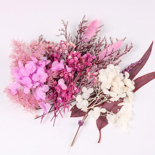 Flores prensadas secas para manualidades DIY miniatura 7