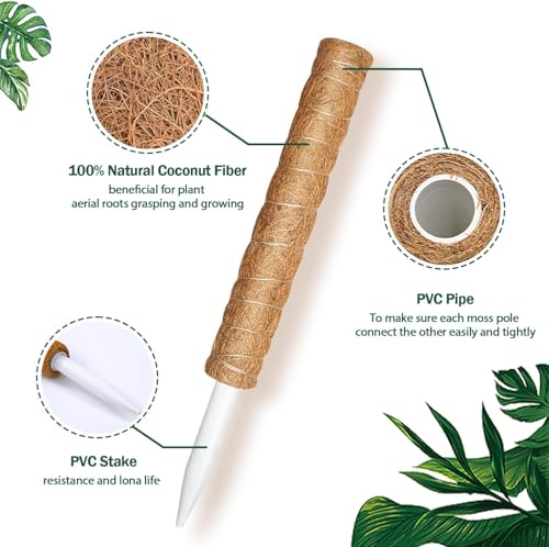 Lot de 4 piquets en mousse de 160 cm pour plantes grimpantes d'intérieur, support de plante Monstera en fibre de coco pour plantes en pot, marron