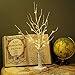 EAMBRITE Lighted Birch Tree Spring Decorations for Home, White Birch Tree with Lights, 24 LED Lighted Mini Money Tree Twig Tree Battery Operated with Timer, Christmas Indoor Centerpiece Decor (2FT)