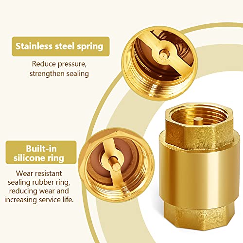 DIKEBAO Valvola di Ritegno Ottone 1 Pollice