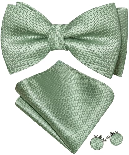 Image of Barry.Wang Paisley Striped Bow Tie for Men Silk Pre-Tied Bowtie Set