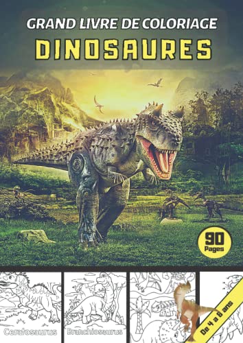 Grand livre de coloriage DINOSAURES: Découvrir et apprendre les Dinosaures en les coloriant | 90 pages | Dès 5 ans | Grand format