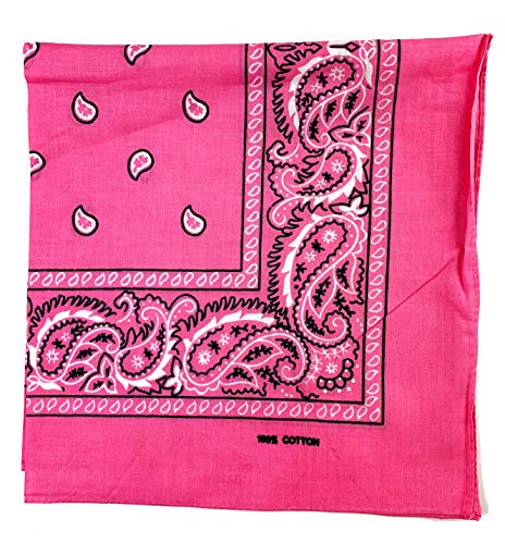 Plum Feathers Paisley Bandana 22 inch x 22 inch Head Wrap Scarf 100% Cotton Mouth Cover (Pink, 12)