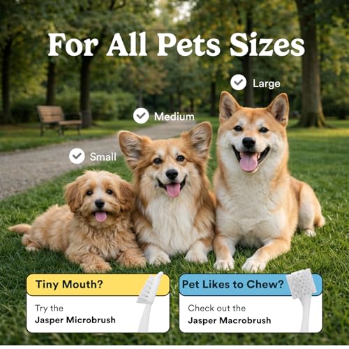 Jasper Dog Toothbrush, 360 Dog Tooth Brushing Kit, Finger Toothbrush, Cat Tooth Brush, Teeth Cleaning, Pet Tooth Brush for Small & Large Pets, Pet Toothpaste Not Included, 2-Pack Blue