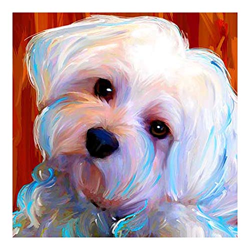 Yscolor White Lap Dogs Maltese Dogs Full Suqare Diamond Embroidery Animal 5D Diy Diamond Painting Full Round Drill Rhinestone 11.8X11.8 In/30X30cm
