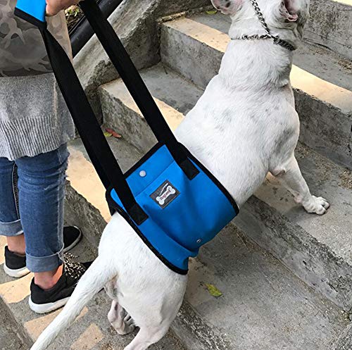 Diyafas Supporto per Cane Imbracatura di Riabilitazione Assistere...
