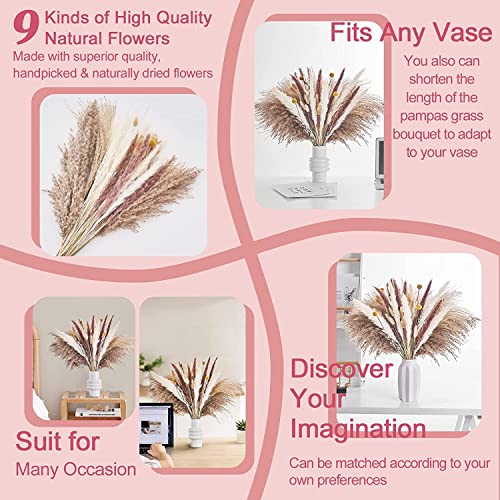 100 Pezzi Erba della Pampas Essiccata Decorative