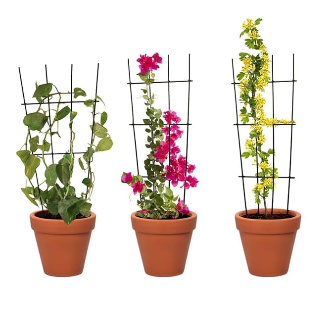 Urban Plant Wire Mesh Frame Plant Trellis – Plant Support for Climbing Plants, Vines, Vegetables & Flowers – Indoor & Outdoor Use (3) (B0DHHGP3H8) Amazon Price History, Amazon Price Tracker