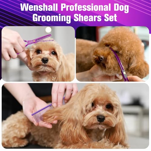 Wenshall 7,0 Zoll Hundepflege Schere Set Hund gerade Schere & Ausdünnungsschere & Gebogene & chunker & Comb 5Stk Set