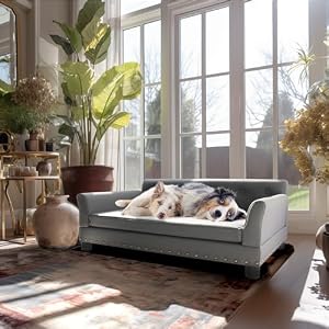 BingoPaw Large Dog Sofa Bed: Extra Large Dogs Couch Made by Smooth Scratching Resistant Microfiber Leather, Pet Jumbo Indoor Modern Furniture Style Chaise with Easy Clean Cover for Pets up to 120lbs BingoPaw Large Dog Sofa Bed Extra Large Dogs Couch Made by Smooth Scratching Resistant Microfiber Leather Pet Jumbo Indoor Modern Furniture Style Chaise with Easy Clean Cover for Pets up to 120lbs