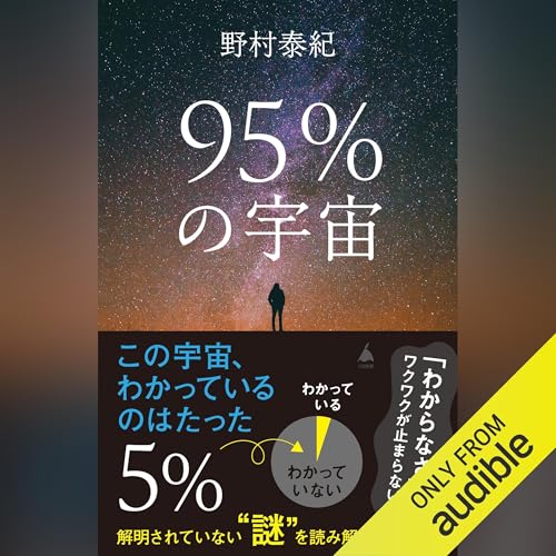 『95%の宇宙』のカバーアート