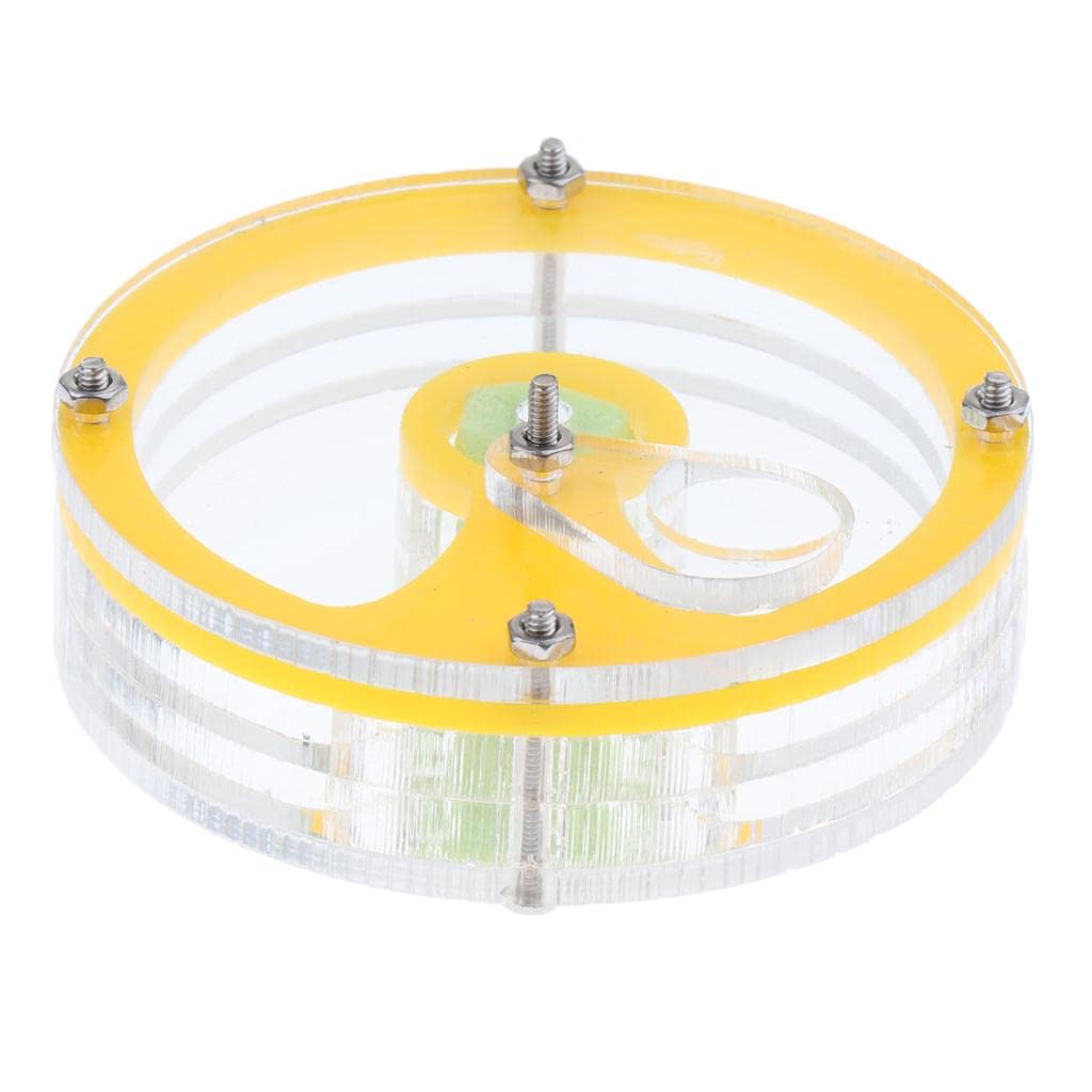 Meri Shop Clear Acrylic Feeding Box, Moisturizing Sponge Ant Nest, The Ants Feeder (B0B2P4FD19) Amazon Price History, Amazon Price Tracker