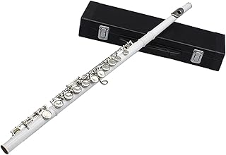 16-hole C-key Closed-hole Open-hole Flute Is Suitable For Beginners To Play Musical Instruments flute instrument (Color : White)