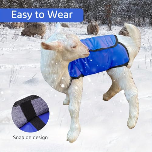 NIUGRECF 2Pcs Cobertor de Cabra para O Inverno Casaco de Cabra À Prova D'Água E Vento para Clima Fr