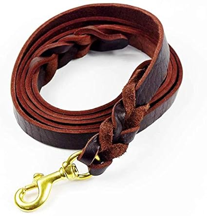 Petlicious & More Genuine Leather Dog Leash (Brown, 6 ft)