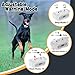 Blingbling Petsfun GPS Wireless Dog Fence System, Electric Satellite Technology Pet Containment System by GPS Signal Boundary for Dogs and Pets with Waterproof & Rechargeable Collar Receiver(White)