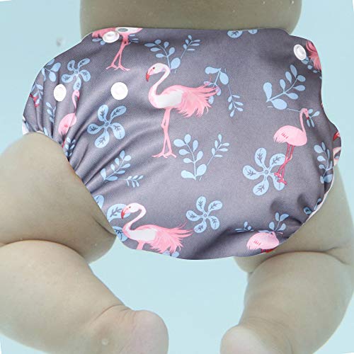Image of POLKA TOTS Premium Reusable Swim Diapers for Babies | Waterproof & Adjustable Swimming Diaper with Skin-Friendly Fabric | Easy to Clean Swimsuit Diaper for Baby Boys & Girls |12-24 M