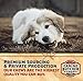 Canine Butcher Shop Pig Ears for Dogs, Always USA Made (30-Pack), All Natural, Sourced in USA Pig Ears, Digestible Pork Dog Chew Treat