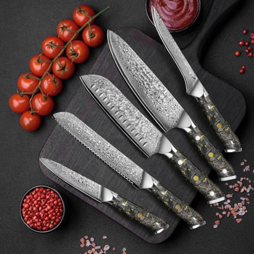 Kitchen Knife Set 5pcs, Professional 67-Layer Damascus Steel Chef Knife Set with Chef's Bread Santoku Boning Knife, for Cooking, Home, Restaurant,Gift Box - Image 6