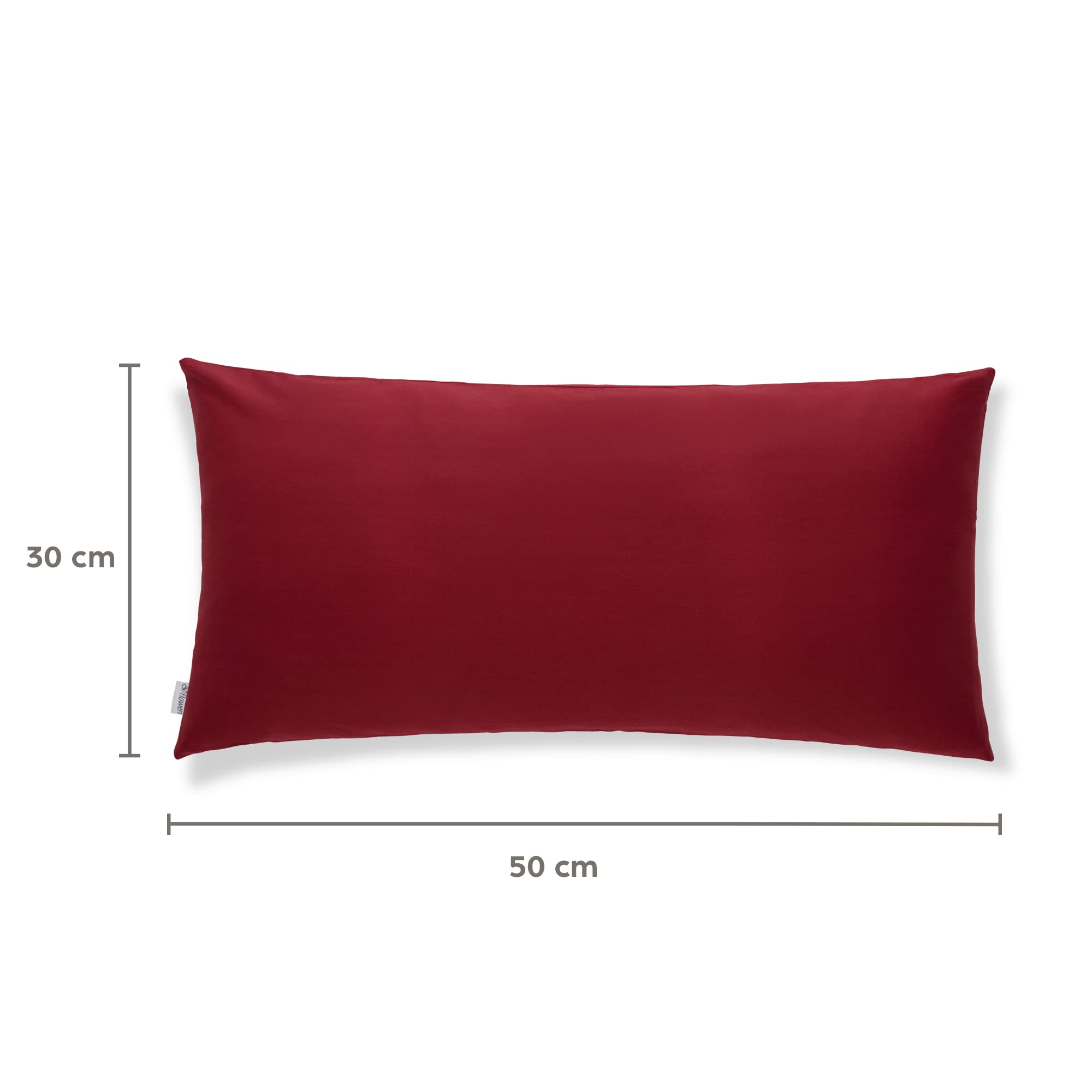 Flowen Federe Cuscini Divano 30x50 Set da 2 Copricuscini in Microfibra Fodere Lavabili e Resistenti 30 x 50 cm Tessuto 100% Poliestere Traspirante Anallergico Antiacaro Ideali per Arredo Casa